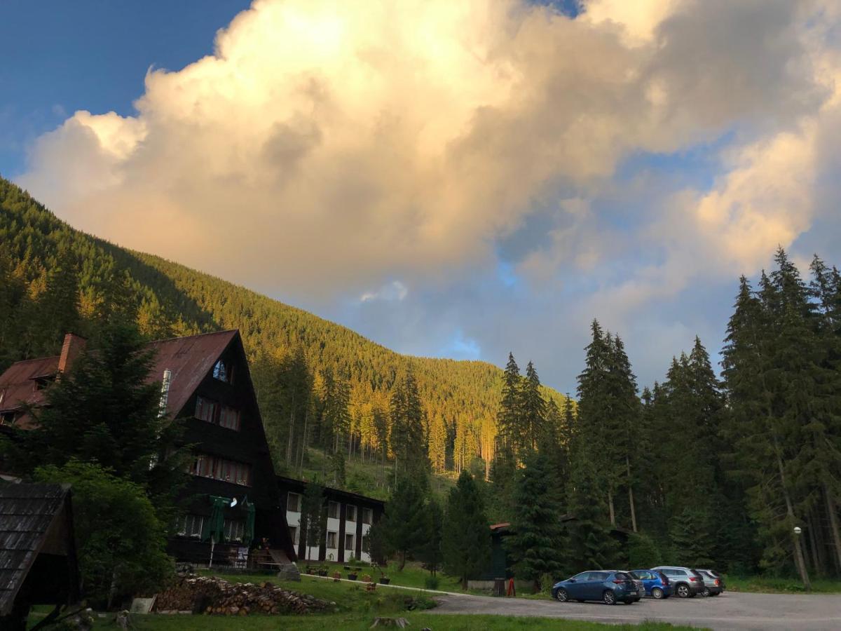 Horska Chata Primula - 1000 M Nad Morom Zuberec Extérieur photo