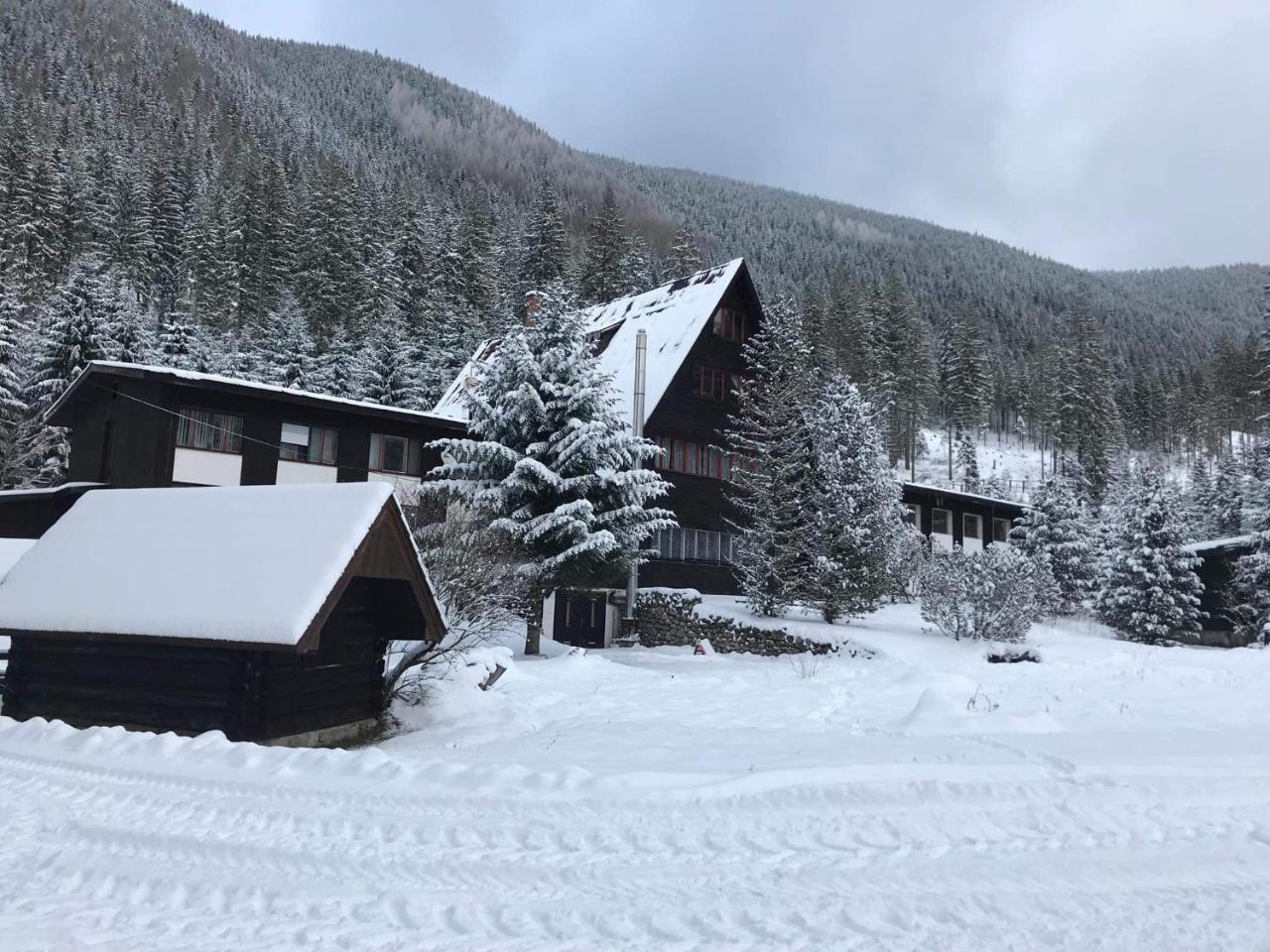 Horska Chata Primula - 1000 M Nad Morom Zuberec Extérieur photo