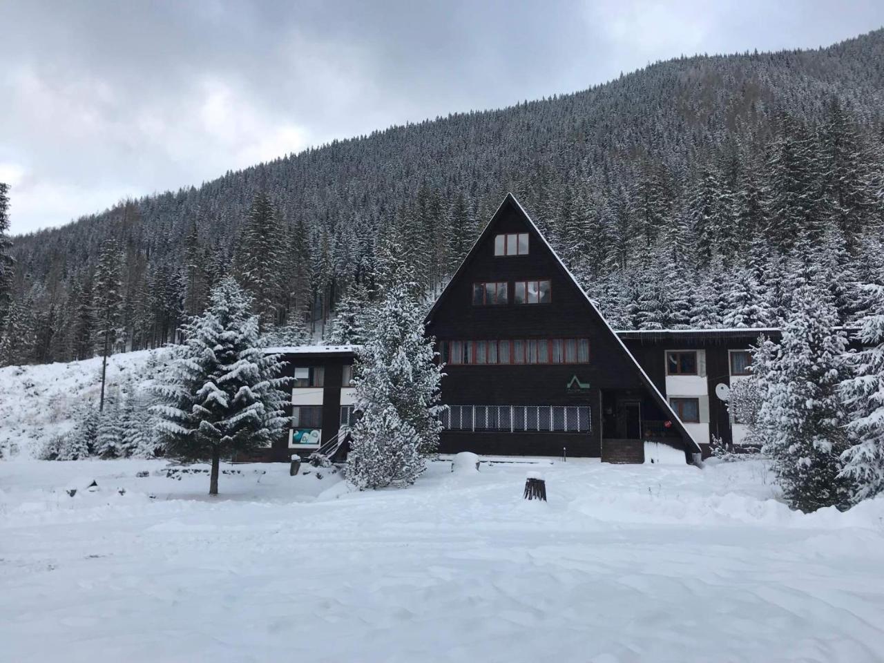 Horska Chata Primula - 1000 M Nad Morom Zuberec Extérieur photo